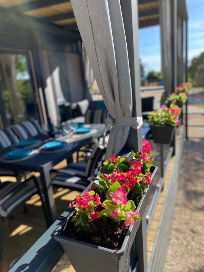 Mobile Home Biondina Camp Porton Nature Hideouts רוביני מראה חיצוני תמונה