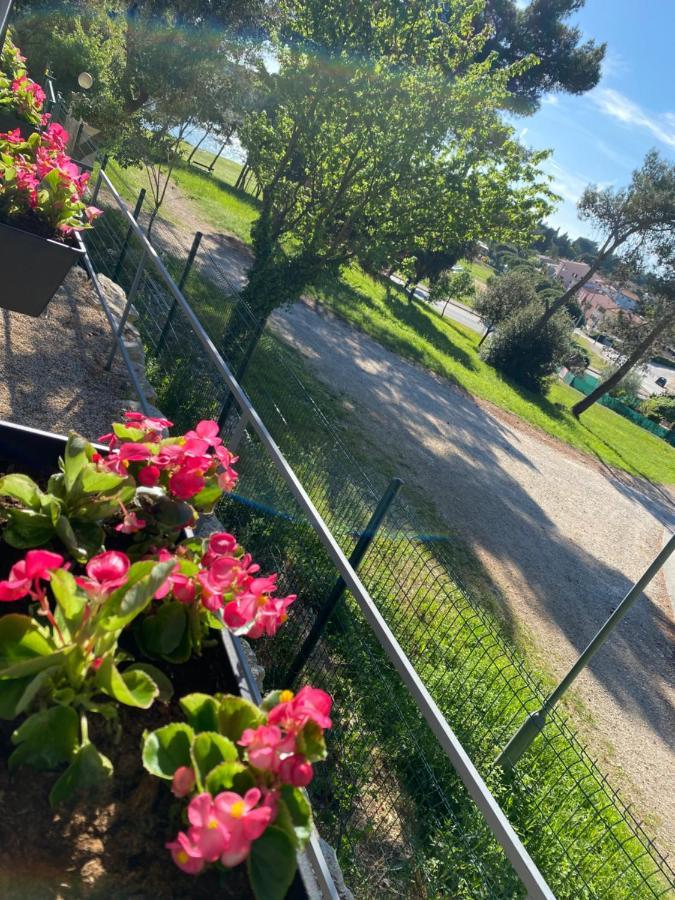Mobile Home Biondina Camp Porton Nature Hideouts רוביני מראה חיצוני תמונה