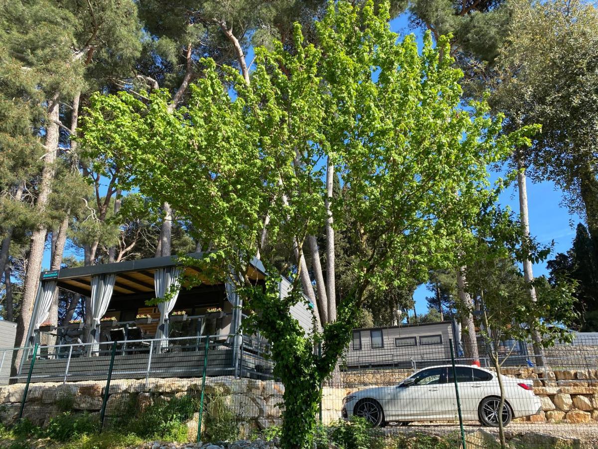 Mobile Home Biondina Camp Porton Nature Hideouts רוביני מראה חיצוני תמונה